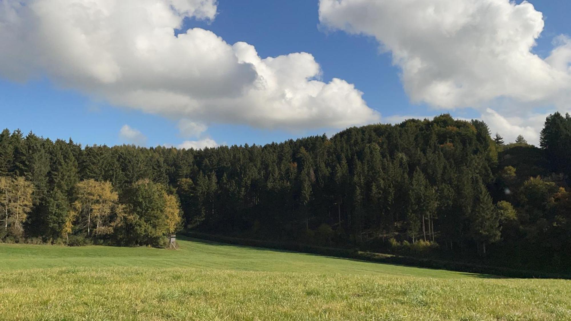 Deine-Eifel-Ferienwohnung Feusdorf Exterior photo
