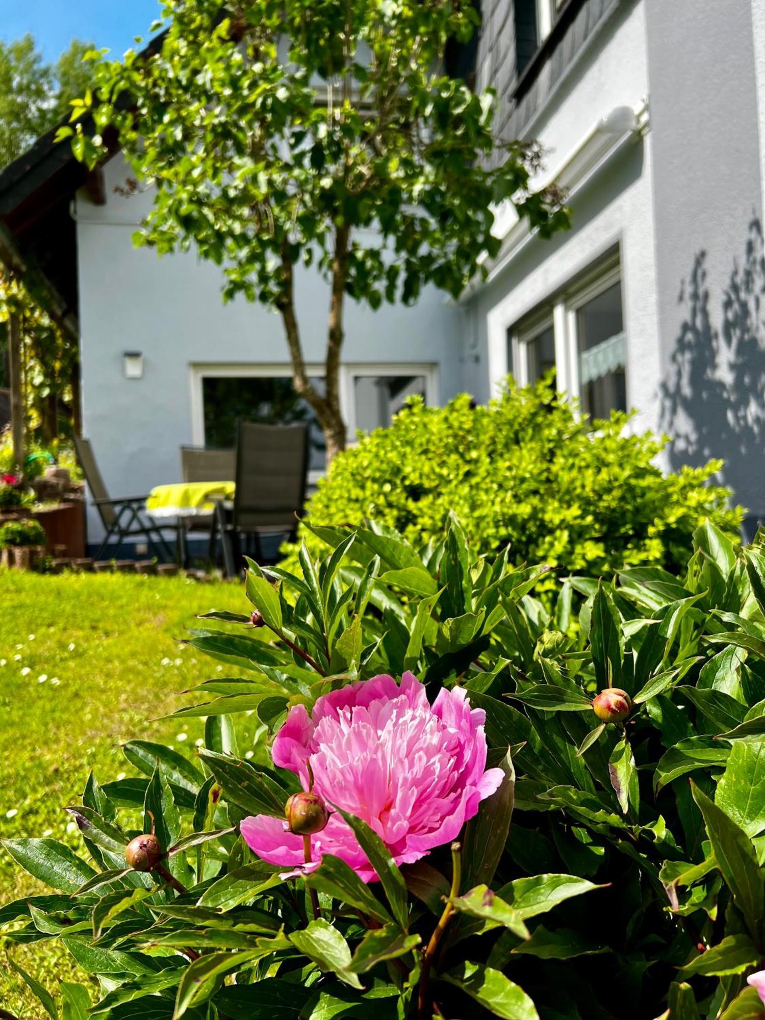 Deine-Eifel-Ferienwohnung Feusdorf Exterior photo